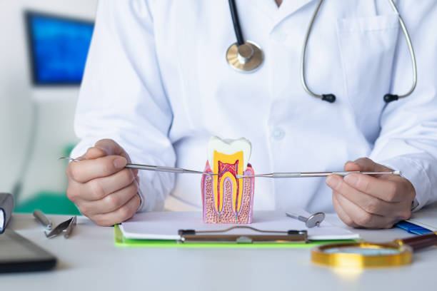 Best Emergency Dental Care for Broken or Chipped Teeth in Franklin Grove, IL